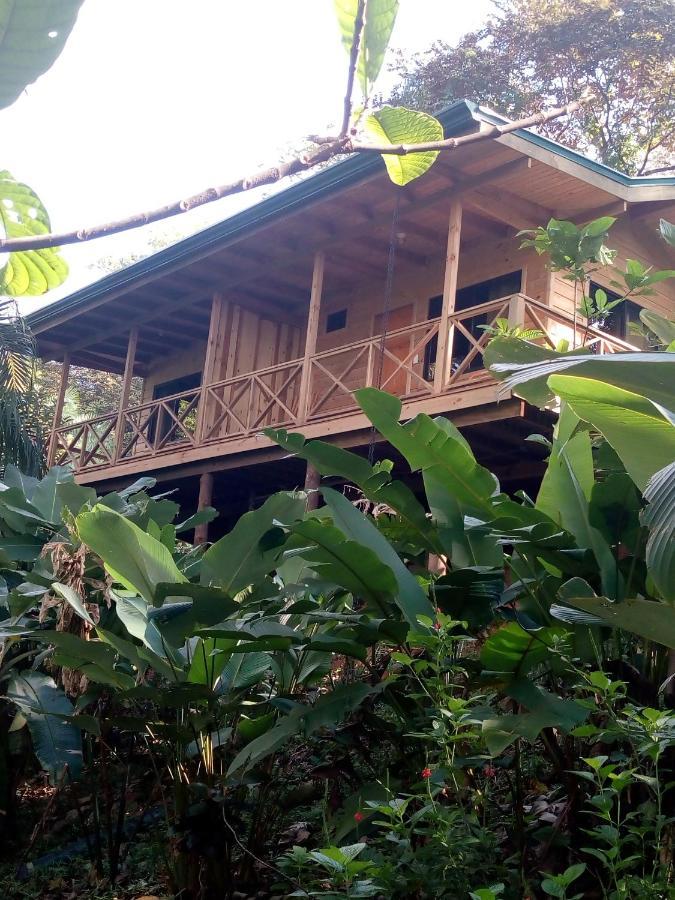 Forest Lodge Uvita Kültér fotó