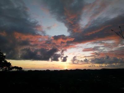 Forest Lodge Uvita Kültér fotó