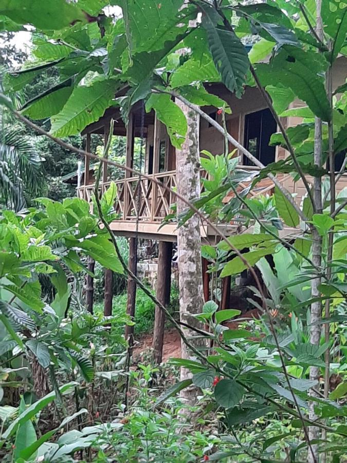 Forest Lodge Uvita Kültér fotó